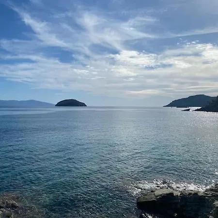 Mystique Serenity *